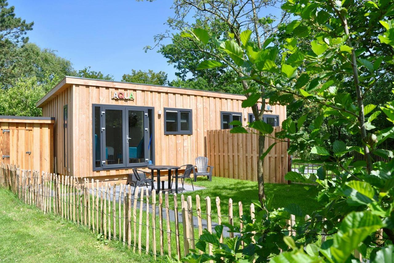 Chalet Studio Aqua - Campanula - Sint Maartenszee Βίλα Sint Maartensvlotbrug Εξωτερικό φωτογραφία